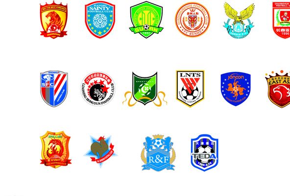 斯通斯担任 斯通斯担任